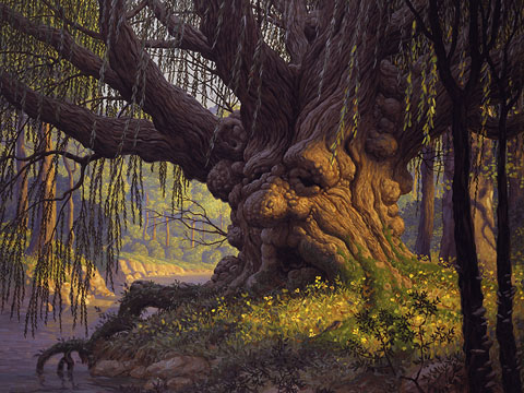 An image of an old gnarled tree by a riverbank in a forest. The tree is an ancient looking willow with the face of an old man. The image is painted beautifully and has a strong golden/orange light source and beautiful violet tinted shadows.