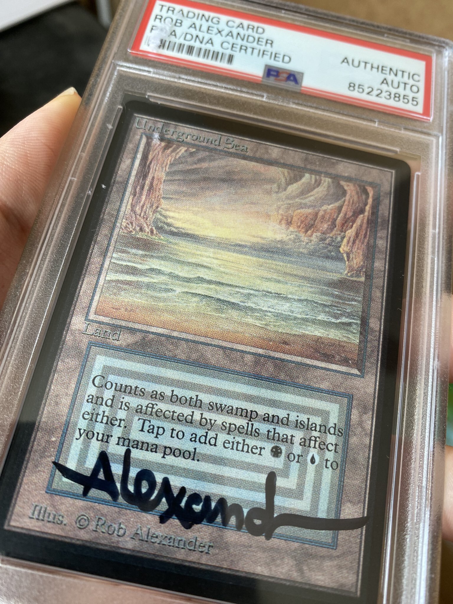 The graded, counterfeit copy of Underground Sea that CAG member Rebell has since been refunded for. The artist's signature is, however, decidedly authentic. Photo credit: Rebell (source: Twitter)